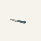 A small paring knife with a shiny silver blade and a teal handle, placed on a plain off-white background.